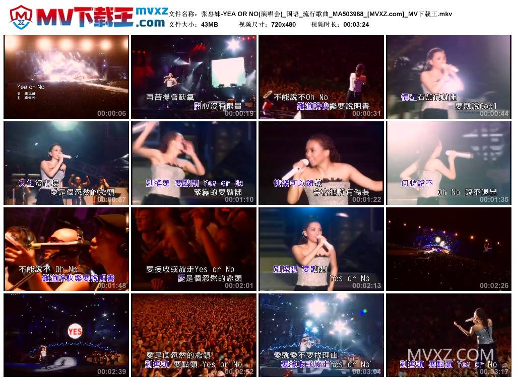 张惠妹-YEA OR NO(演唱会)_国语_流行歌曲_MA503988